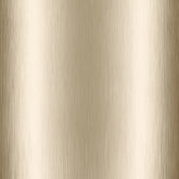 Metalo spalvos plokštė 701